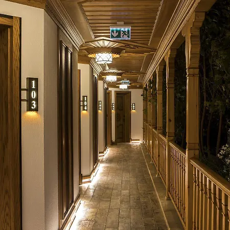 Hotel Goektuerk
